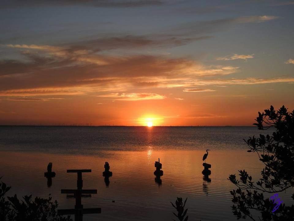 Sun Dancer #11 * South Padre Island