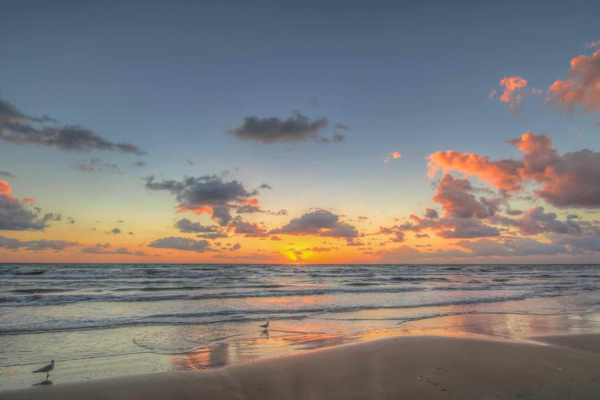 Surfside * South Padre Island