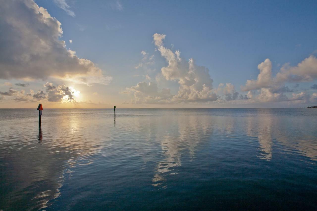 Campeche Cove #1